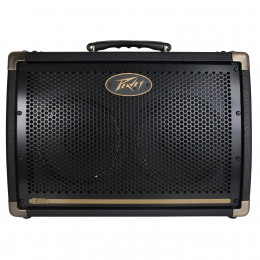 Peavey Ecoustic E208 Комбоусилитель для акустической гитары