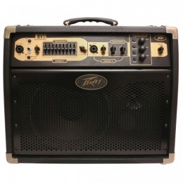 Peavey Ecoustic E110 комбоусилитель для акустической гитары