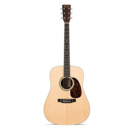 Martin Guitars D16RGT Акустическая гитара