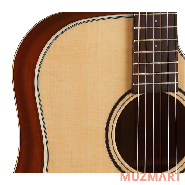 Parkwood S22-GT Акустическая гитара, с чехлом