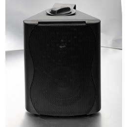 SVS Audiotechnik WS-20 Black Громкоговоритель настенный