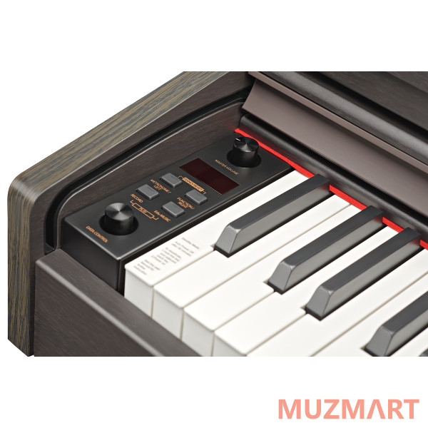 Becker BDP-82R Цифровое пианино