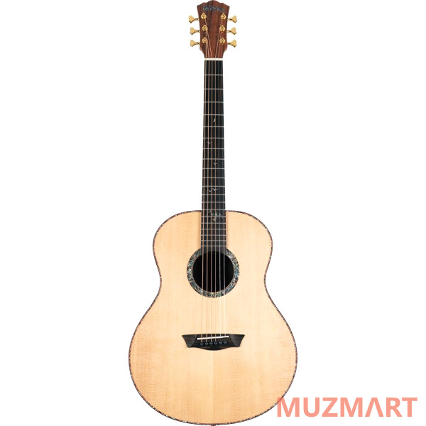 Washburn ELEGANTE S24S акустическая гитара