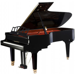 Wendl&Lung W218BK Рояль акустический