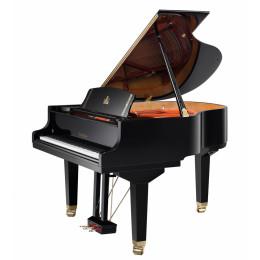 Wendl&Lung W162BK Рояль акустический