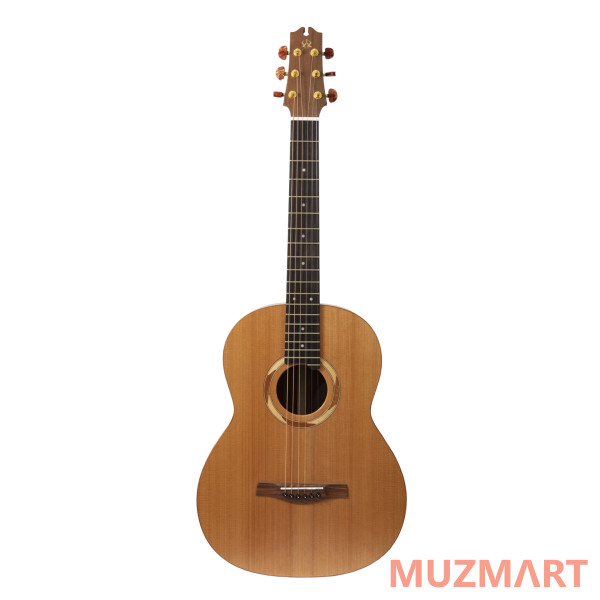 NewTone N17GAASNRW №17 Акустическая гитара