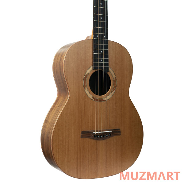 NewTone N17GAASNRW №17 Акустическая гитара