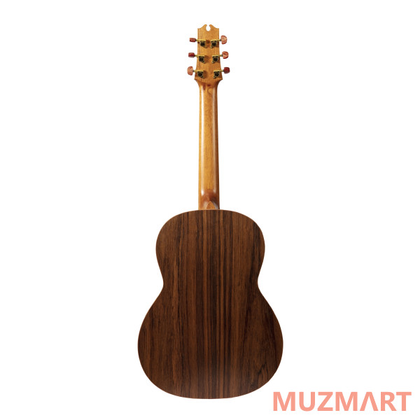 NewTone N17GAASNRW №17 Акустическая гитара