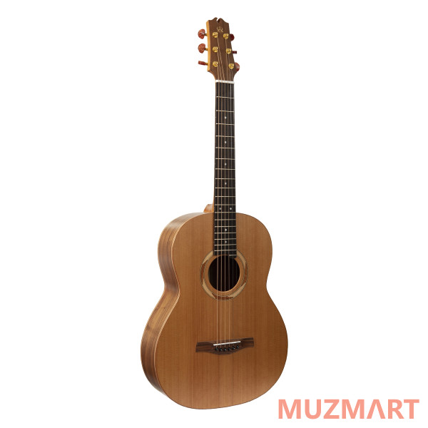NewTone N17GAASNRW №17 Акустическая гитара