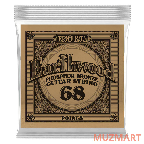 Ernie Ball P01868 Одиночная струна для акустической гитары