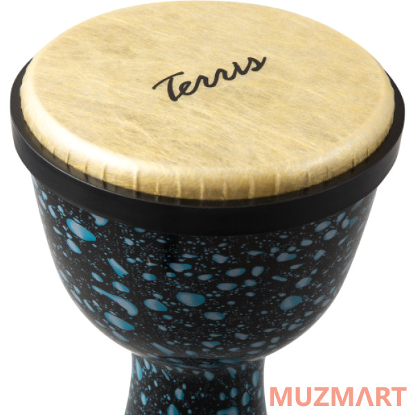 Terris DPC-10 MAZUT Джембе