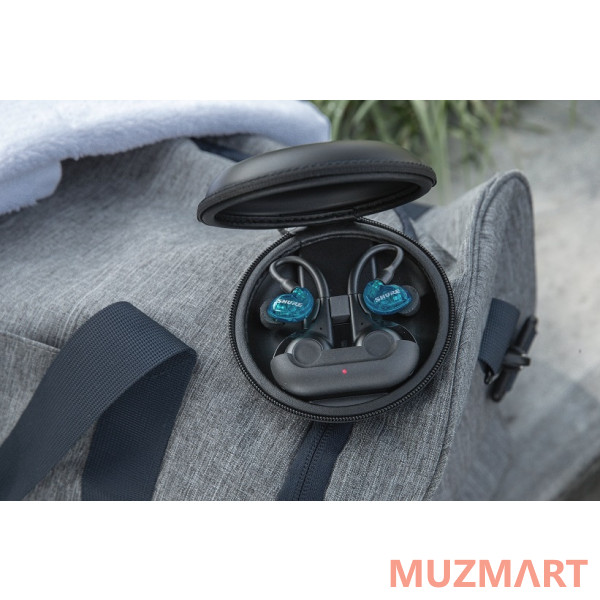 Shure SE21DYBL+TW2-EFS Внутриканальные беспроводные наушники