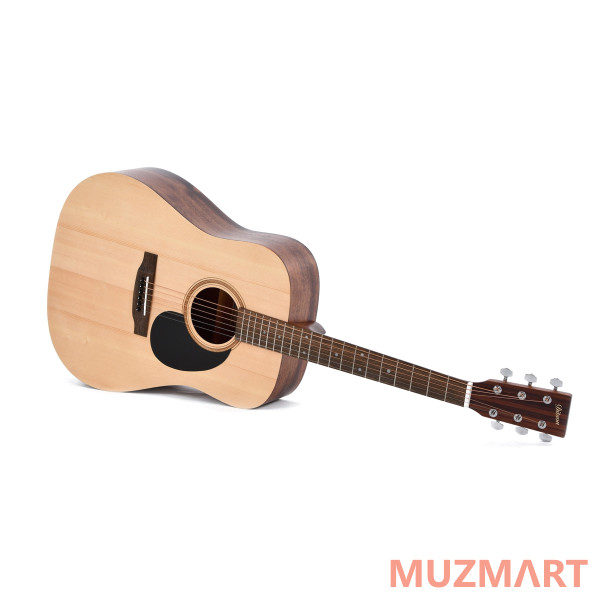 Ditson D-10 Акустическая гитара