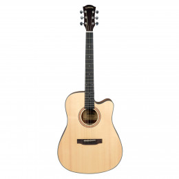 Cascha CGA300 Performer Series Акустическая гитара с чехлом