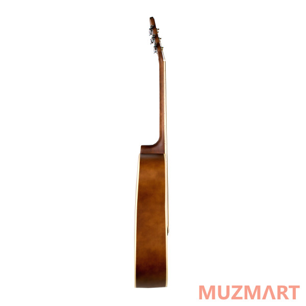 Beaumont DG141 Акустическая гитара