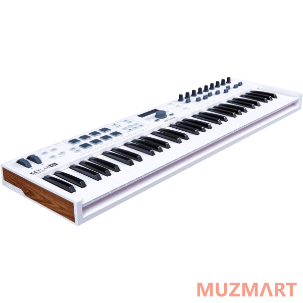 Arturia KeyLab 61 61 клавишная полувзвешенная динамическая MIDI