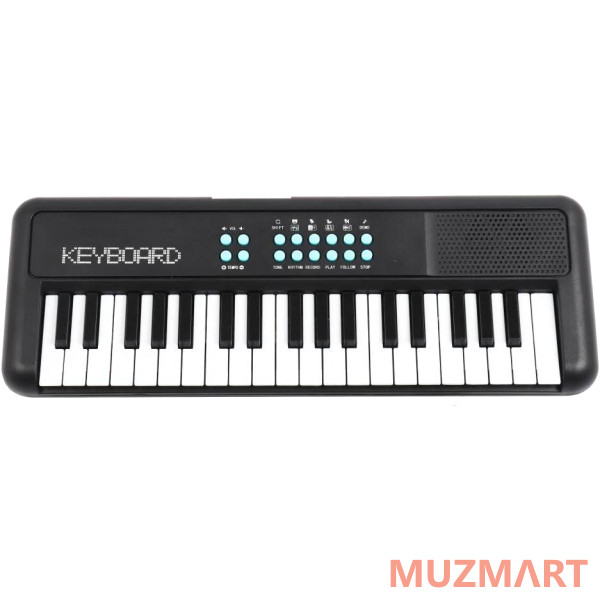 Terris TK-100 BK Синтезатор детский