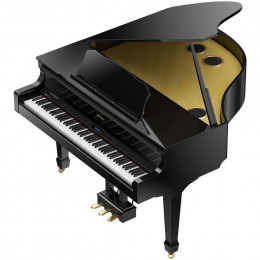 Roland GP609-PE Цифровой рояль