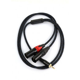 AuraSonics J35Y2XM-1-LONG Аудио Y-кабель jack 3.5 - 2 x XLR, 1м