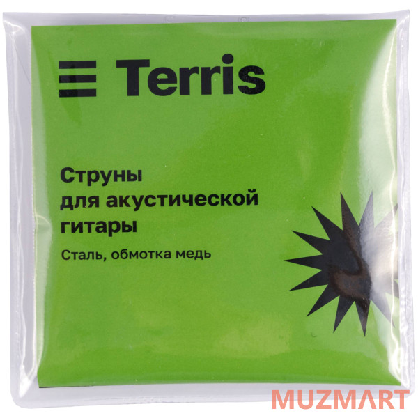 Terris TD-045 SB Starter Pack Гитара акустическая в наборе