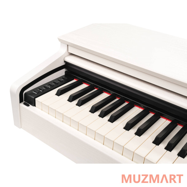 Medeli DP280K-PVC-WH Цифровое пианино, белое