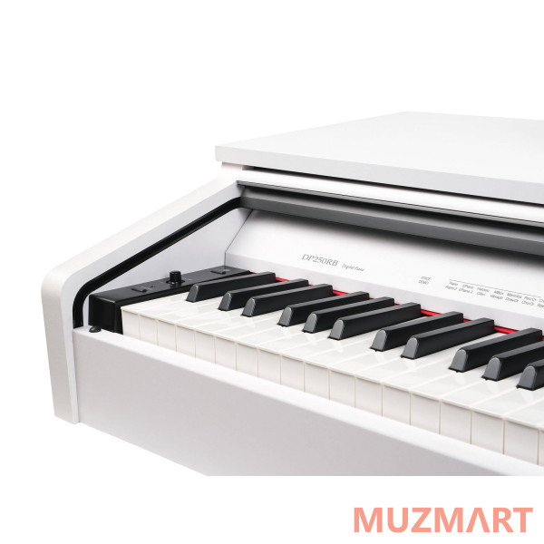 Medeli DP250RB-GW Цифровое пианино, белое глянцевое