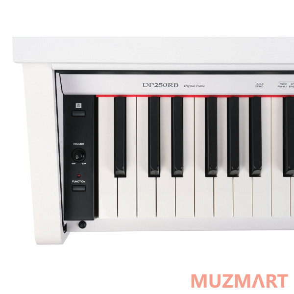 Medeli DP250RB-GW Цифровое пианино, белое глянцевое