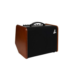 Godin Acoustic Solutions ASG-8 120 Wood Комбоусилитель для акустической гитары