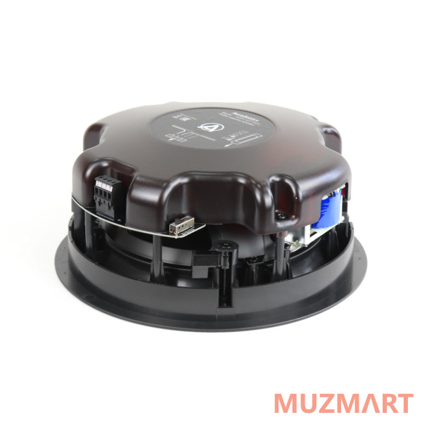AuraSonics AIRY-8T-WH Потолочная акустическая система 8"