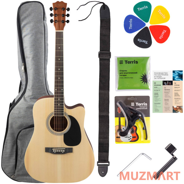 Terris TD-045 NA Starter Pack Гитара акустическая в наборе
