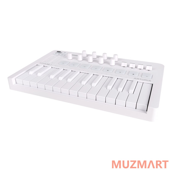 Arturia MiniLAB 3 Alpine White MIDI клавиатура