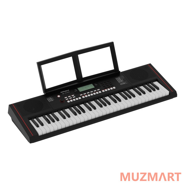 Roland E-X10 Синтезатор с автоаккомпанементом