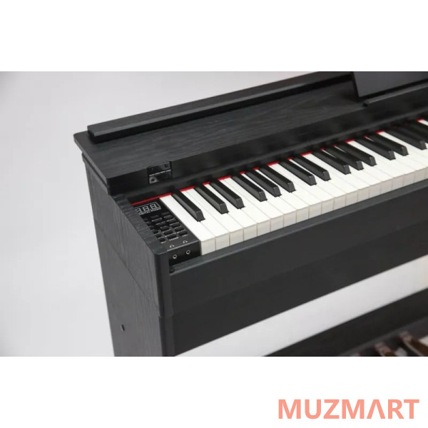 Pierre Cesar DP-12-H-BK Цифровое фортепиано
