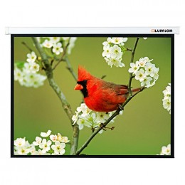 Lumien Master Picture (LMP-100101) Проекционный экран 127x127