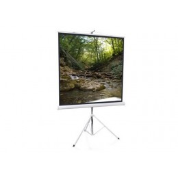 Lumien LEV-100105 Eco View Matte White Проекционный экран 160x160