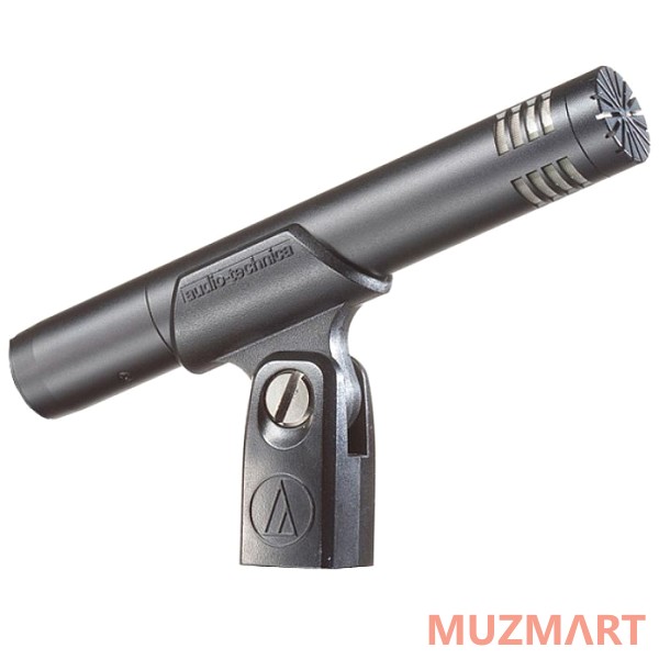 Audio-Technica AT2031 Студийный микрофон