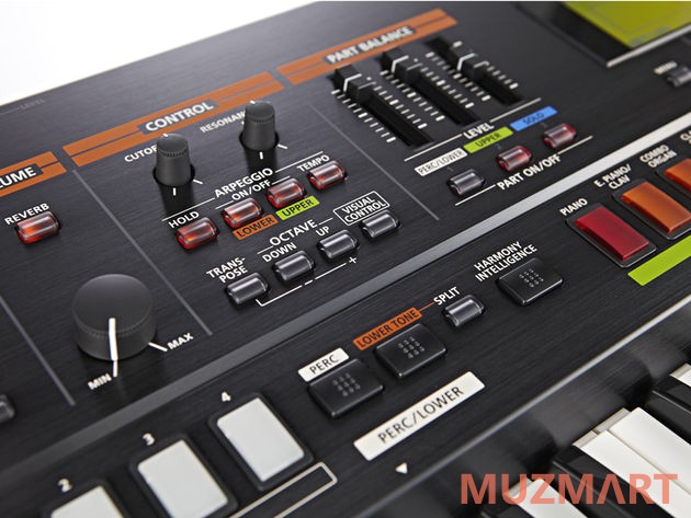 Roland JUPITER-50 Синтезатор