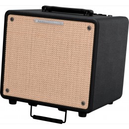 Ibanez T80N-U TROUBADOUR ACOUSTIC COMBO Комбоусилитель для акустической гитары