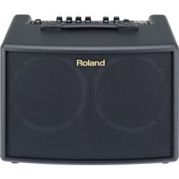 Roland AC-60 Комбоусилитель для акустической гитары