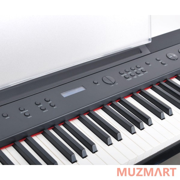 Artesia A-10 Polished Black Фортепиано цифровое