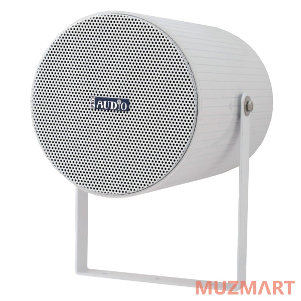 Proaudio ES-120 Точечный громкоговоритель