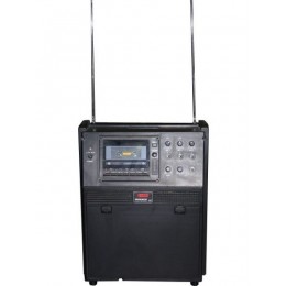 Proaudio CWA-202 Переносная лекционная система