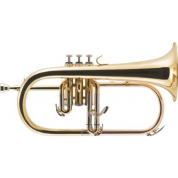 J.Michael FG-500 Флюгельгорн в кейсе