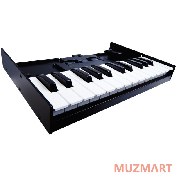 Roland K-25M Клавиатура 25-клавишная