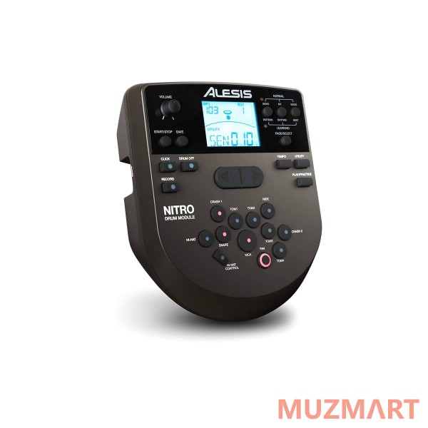 Alesis NITRO KIT Электроная барабанная установка