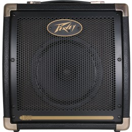 Peavey Ecoustic 20 Комбоусилитель для электрогитары