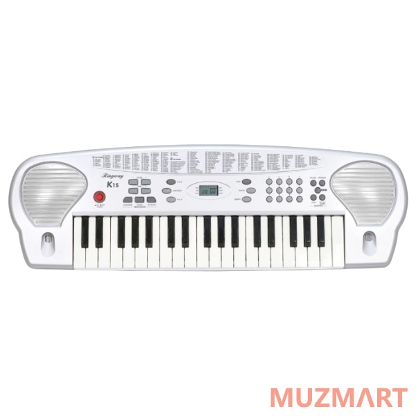 Ringway K15 Синтезатор с клавиатурой mid-size