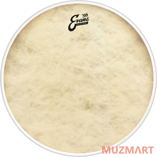 Evans BD18CT Пластик барабанный 18", Calftone