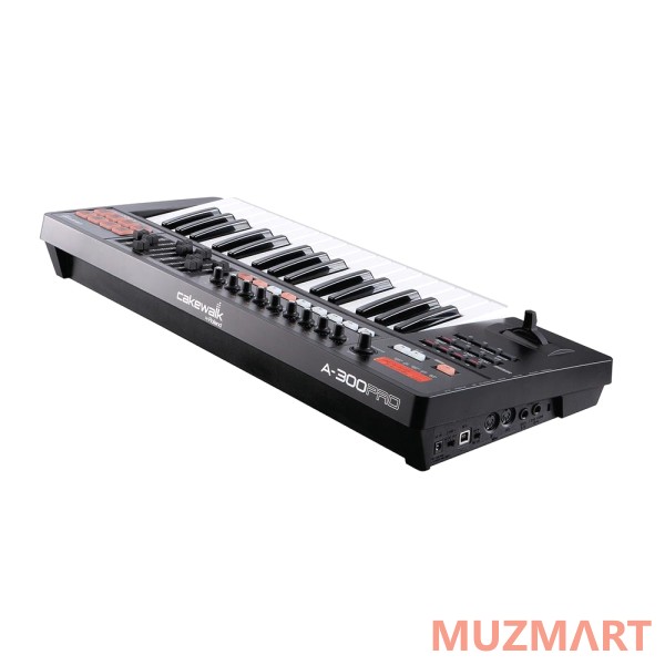 Cakewalk By Roland A-300PRO-R MIDI-клавиатура