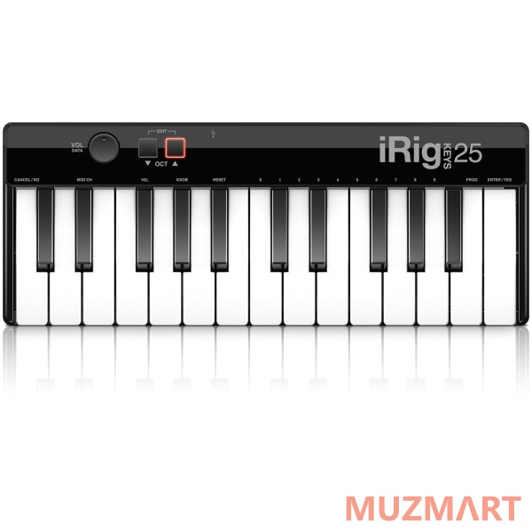 IK Multimedia IRIG KEYS 25 USB MIDI-клавиатура для Mac и PC, 25 клавиш